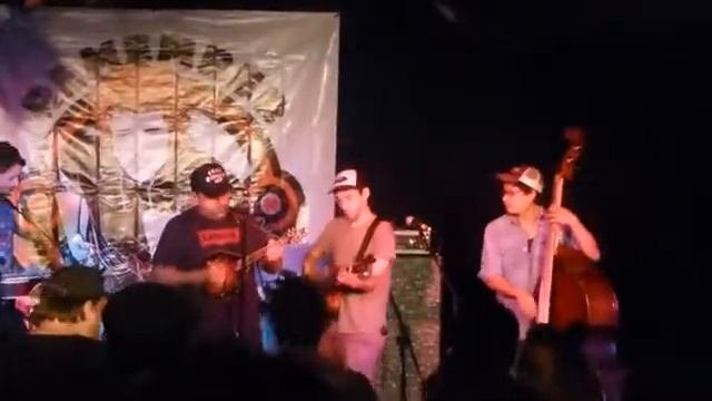 Punk Rock Hillbilly - Live @ Ginger Fest 2014