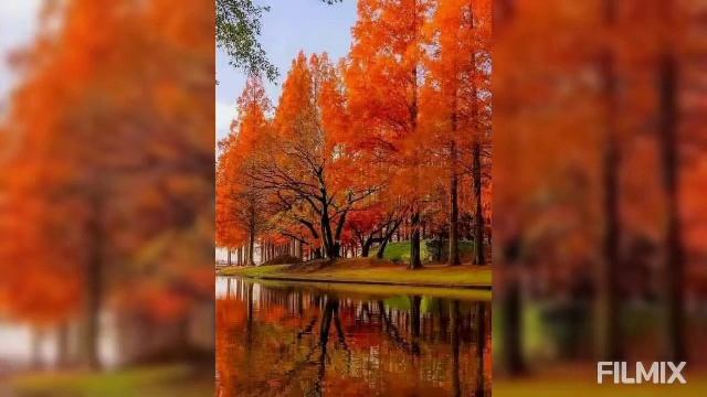 Волшебные краски осени