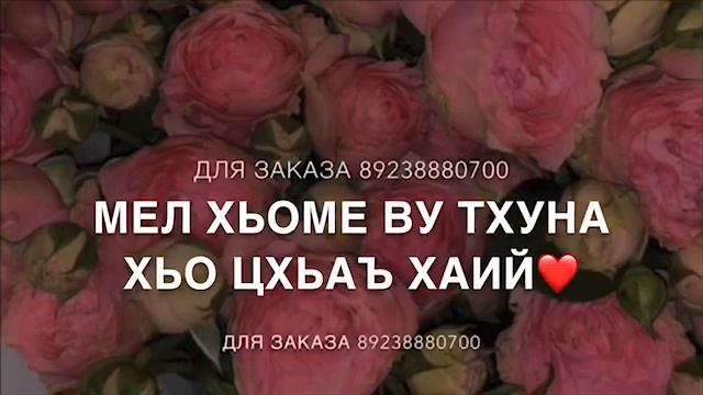 Дал декъал войла хьо папмар-да?