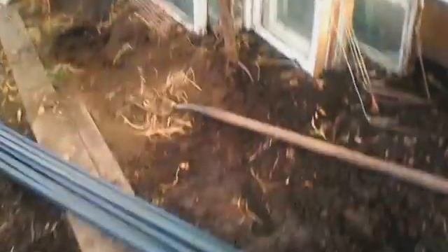 теплица оконным рамам вторая жизнь