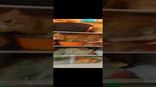 Марсик - хозяин холодильника!)