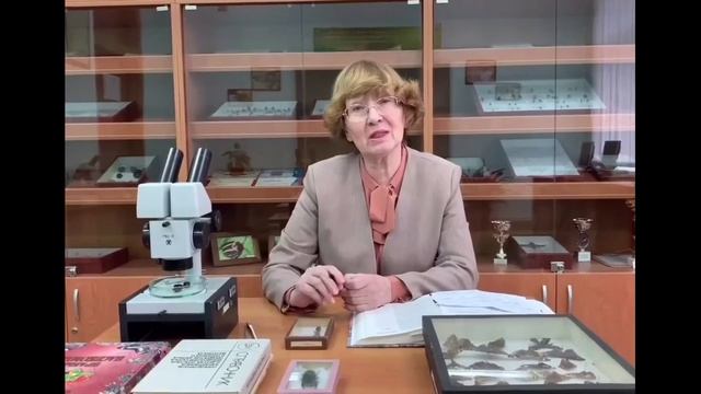 Агротехнологический факультет Курской ГСХА (проморолик)