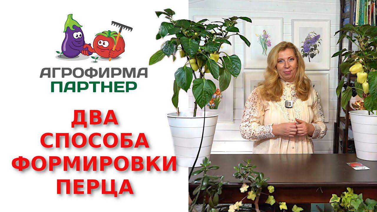 Два способа формировки перца