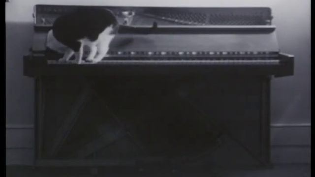 Pief