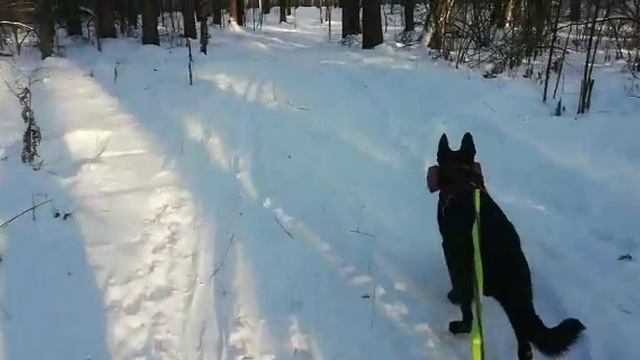 Кое что  про Шерлока