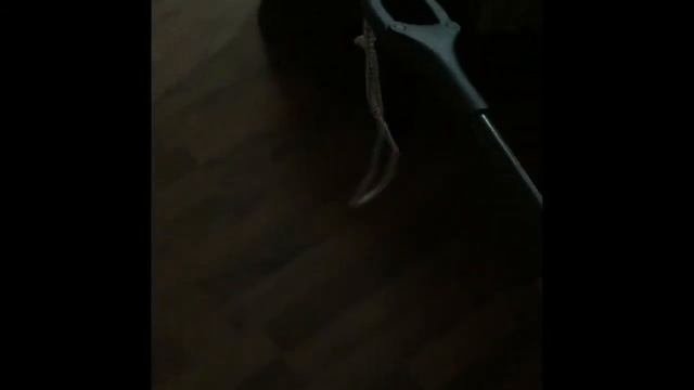 КЛЕШНЯ ДЛИННАЯ/ РАКИ