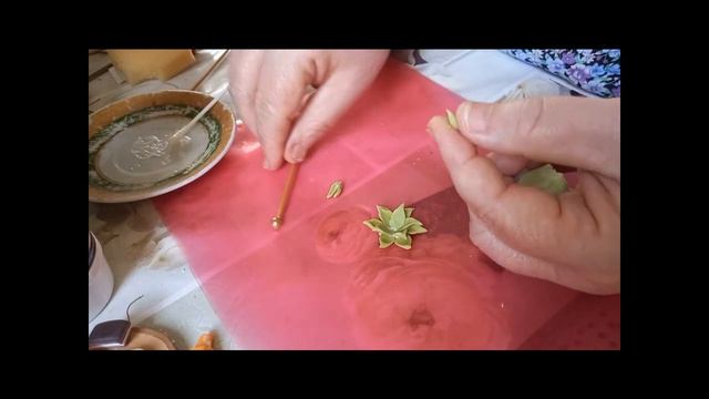 Суккулент брошь. МК.