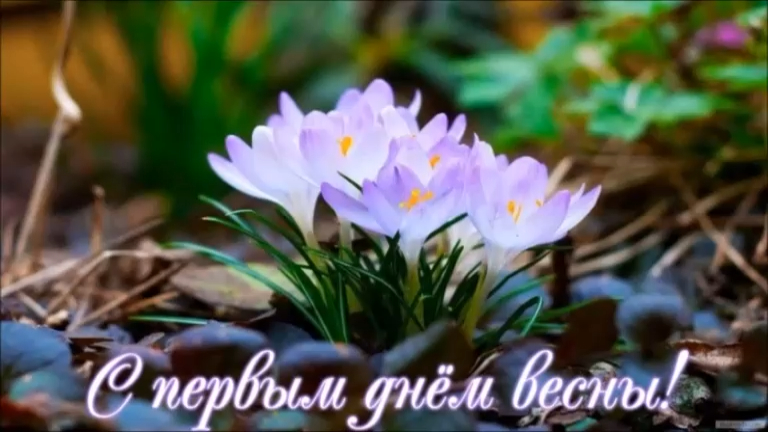УРА! ВЕСНА ПРИШЛА!!! С ПЕРВЫМ ДНЁМ ВЕСНЫ!
