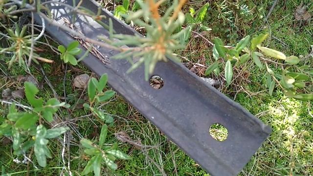 VID_20230822_101424.mp4