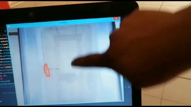 Deteccion de un pez mediante python y open cv UPTx