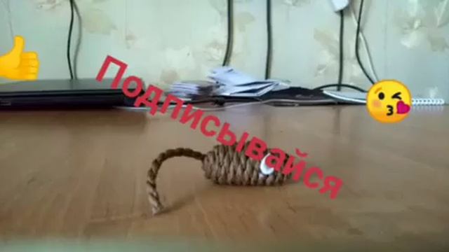 Реакция на сено и новую мышку ! Скрытая камера !