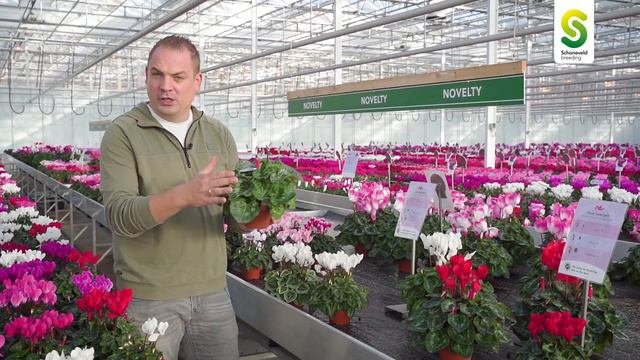 Our novelty table during Cyclamen Open Days 2022