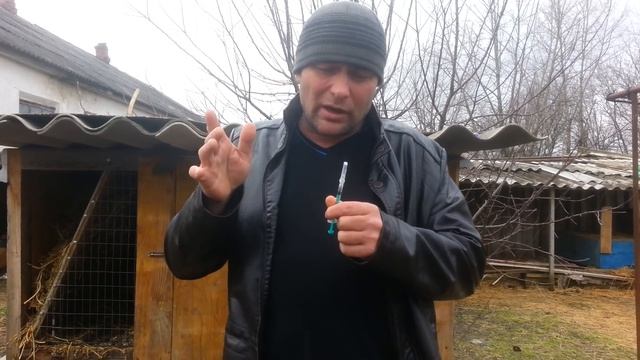 УШНОЙ КЛЕЩ? супер лекарство забыть о нём.
