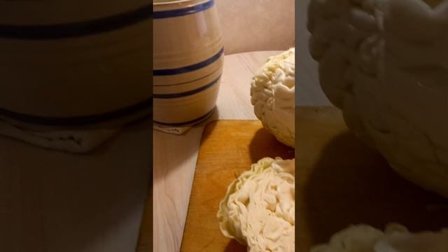 Чем хороша капуста "Слава" .1 часть См.продолжение ролика.