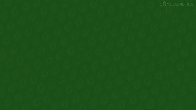 План обучения (Unit 1)