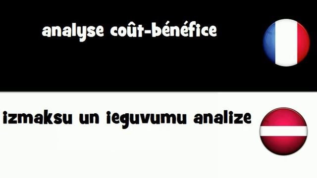 VOCABULAIRE EN 20 LANGUES  analyse coût-bénéfice