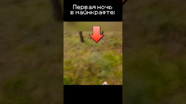 Этот парень сумасшедший