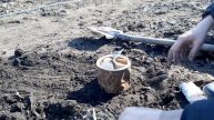 Нефть своими руками из бересты! Быстро и просто