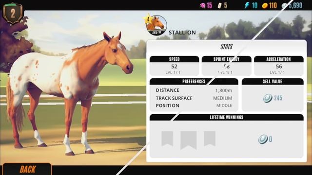 Rival Stars Horse Racing Developer Update Ep.1