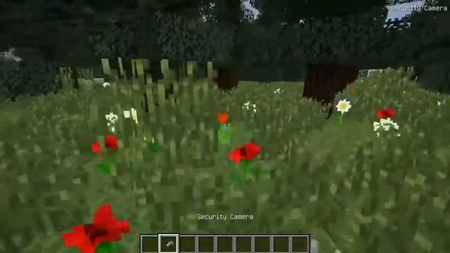 Слежу за гренни через камеру в реальной жизни  Maincraft
