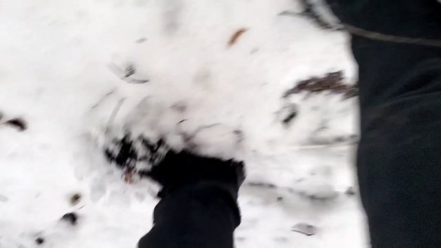 Прятки в лесу с Клоуном