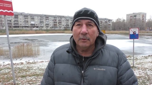 День моржа 4 ноября 2018