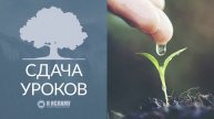 Важность чистоты сердца в приобретении знаний | К Исламу
