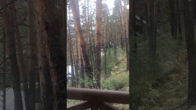 Алтай. Эко курорт Марьин остров. Обзор номера.