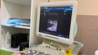 Pregnant cat 5 days before giving birth. We do an ultrasound
