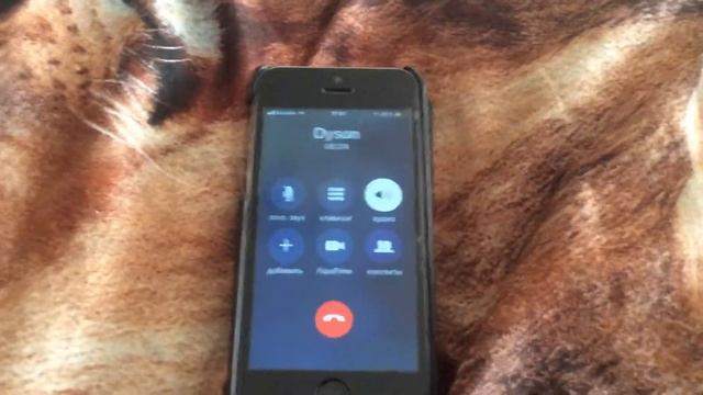 Звонок в Dyson Россия.