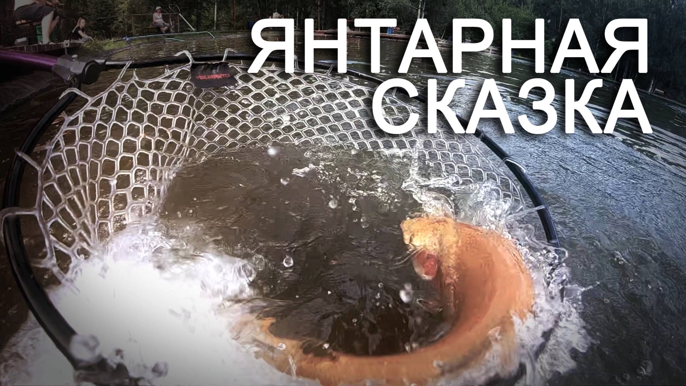 Янтарная форель. Fish Park. 26.07.2019