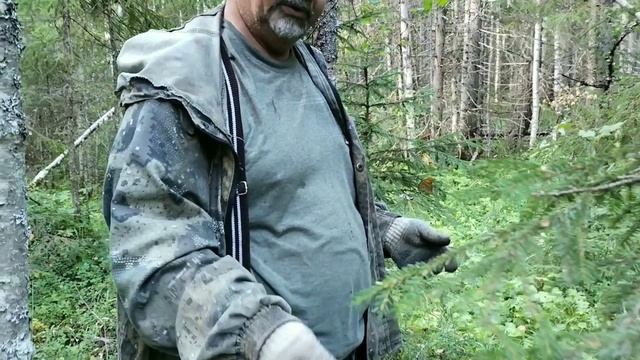 За грибами с металлодетектором 2