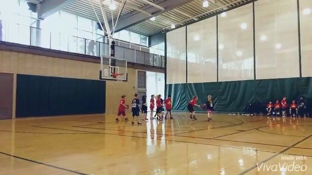 Youth Development 360 - HEART OVER HEIGHT Basketball- Purple Dragon's 46 Point Game