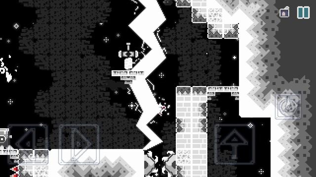 Nameless Cat12
