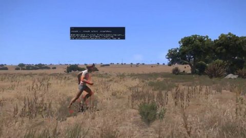 Arma3 Resolution LOD Desynchronization Example