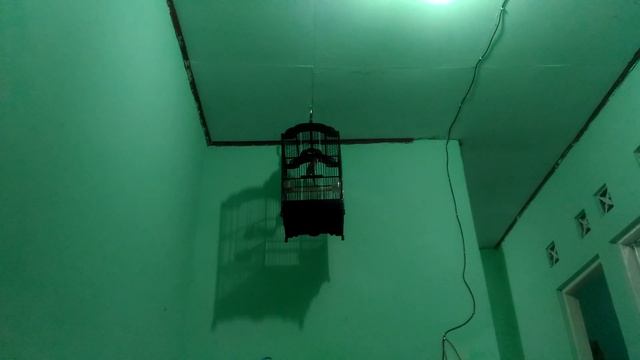 Trocok trucuk borak barik borok cikrok ropel panjang pekalongan