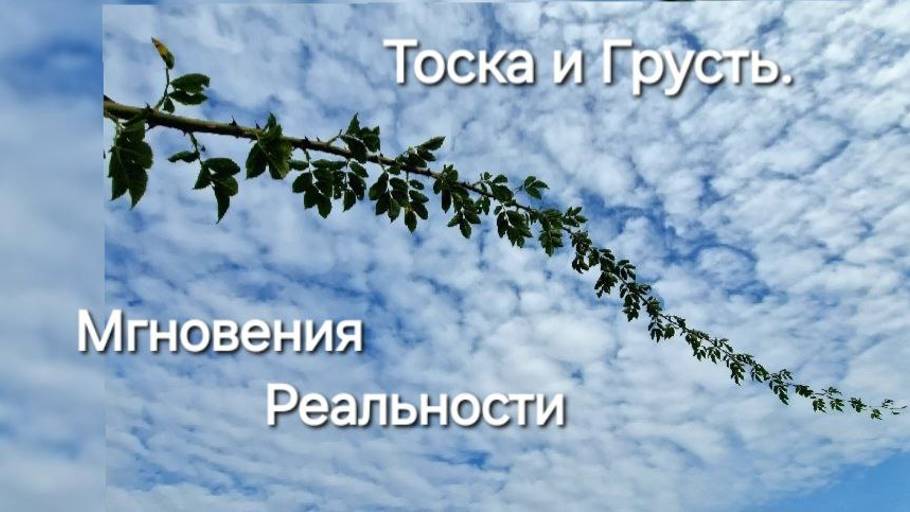 Состояние тоски и грусти. Мгновения Реальности. Переключение. Сотворение. Конец Мая.  Чит. описание