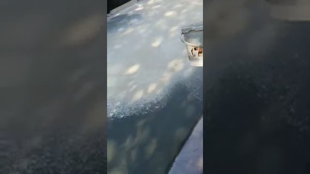 нанесение закрепителя первый слой