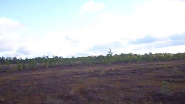 Вездеход "Болотный Проходимец"