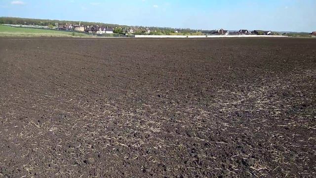 Всходы эспарцета и люцерны