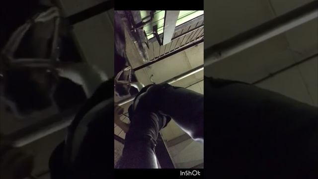 Тоби, давай договоримся 
#лошади #конныйспорт #конюшня