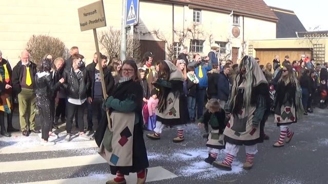 Fasnetsumzug Ehningen Teil 2 Fasnet.TV