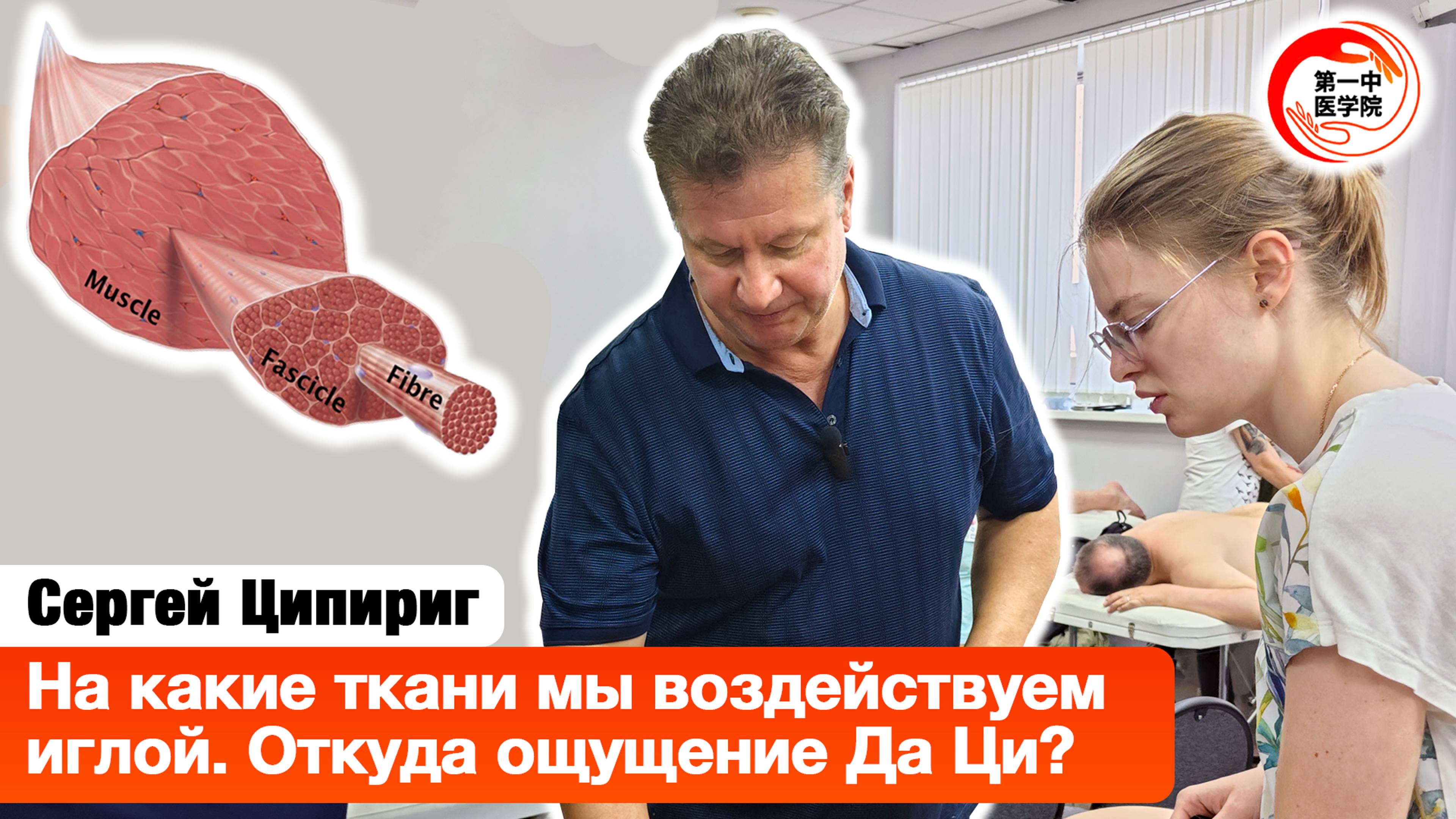 На какие ткани мы воздействуем иглой. Откуда ощущение Да Ци?