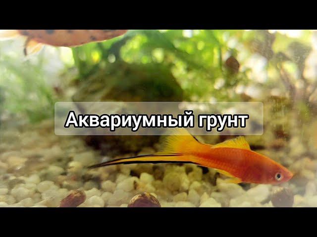 Какой выбрать грунт для аквариумных растений?