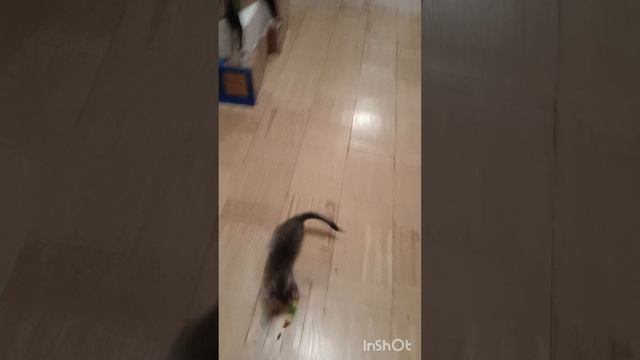 супер соник