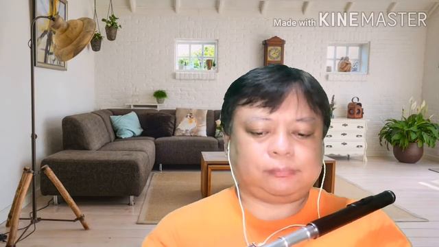 Against All Odds (flute cover)