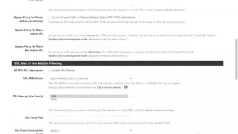 PfSense - Squid HTTPS SSL_Interception_HTTPS filtering