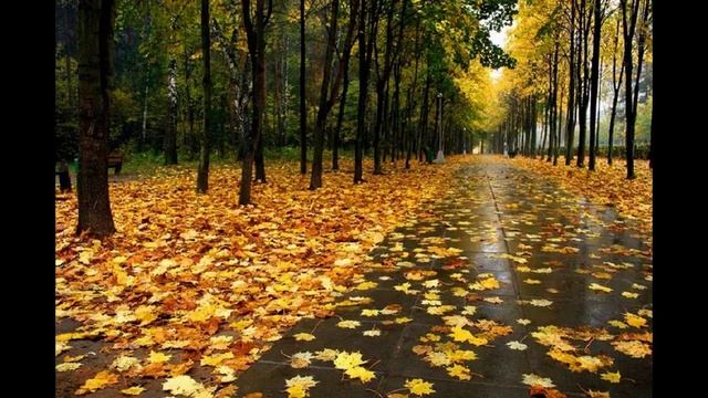 Листья жёлтые над городом кружатся    М Вилцане и О Гринберг