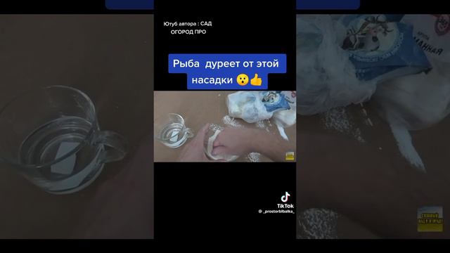 насадка