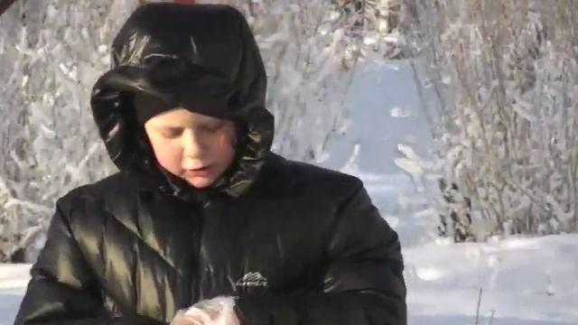 Синичкин день в декабре